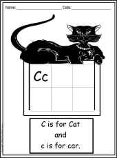 c.jpg (73005 bytes)